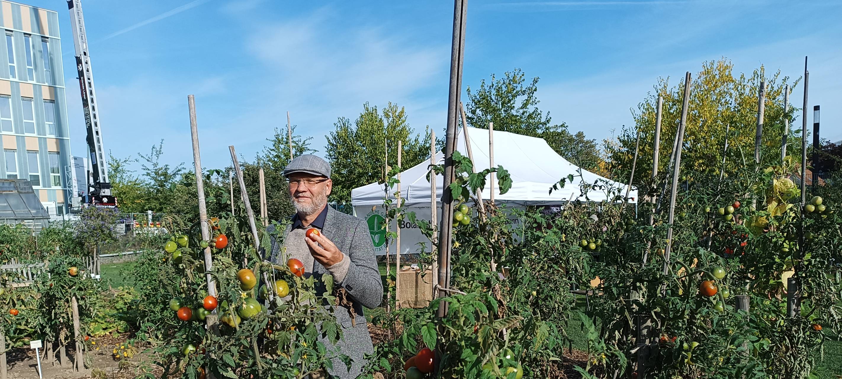 Der Direktor der Botanischen Gärten Bonn begutachtet die angepflanzten Tomaten