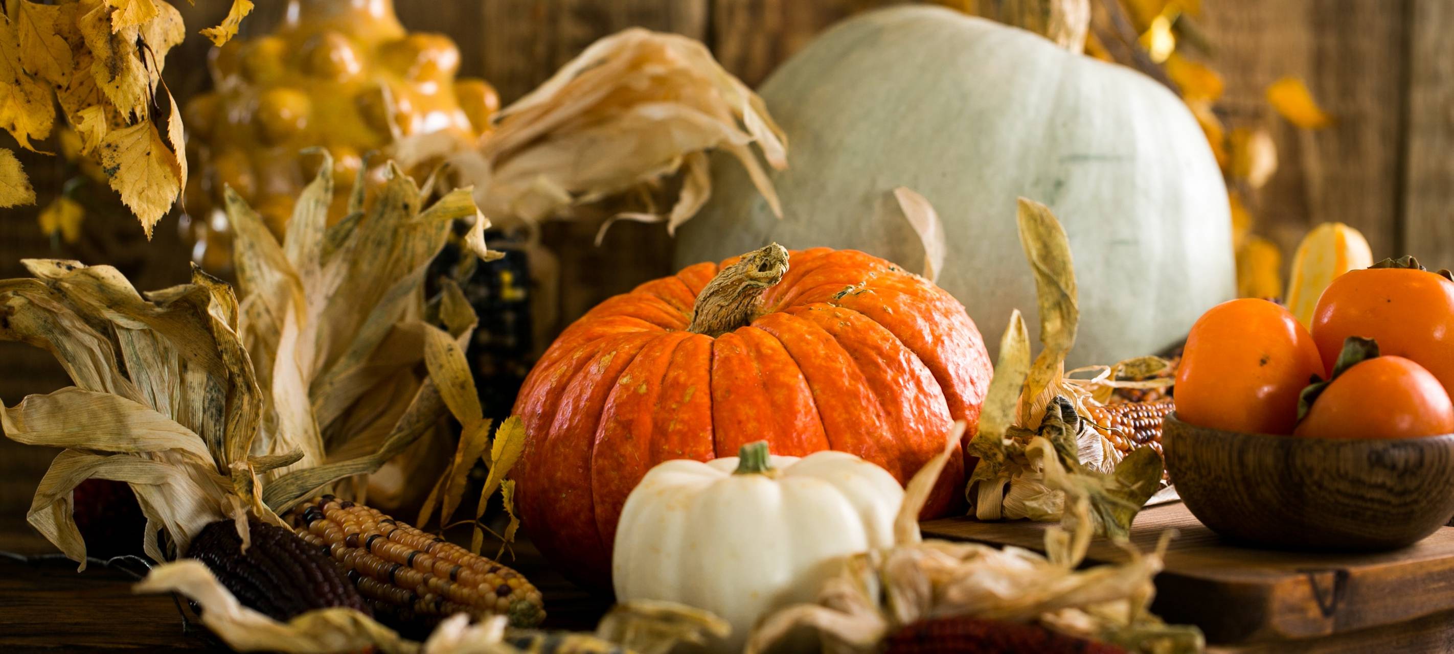 Herbst-Tipps aus der Redaktion