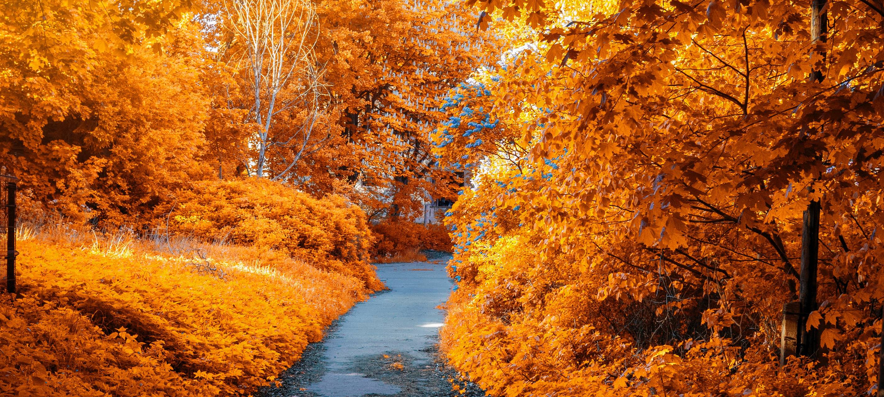 Herbst-Tipps aus der Redaktion