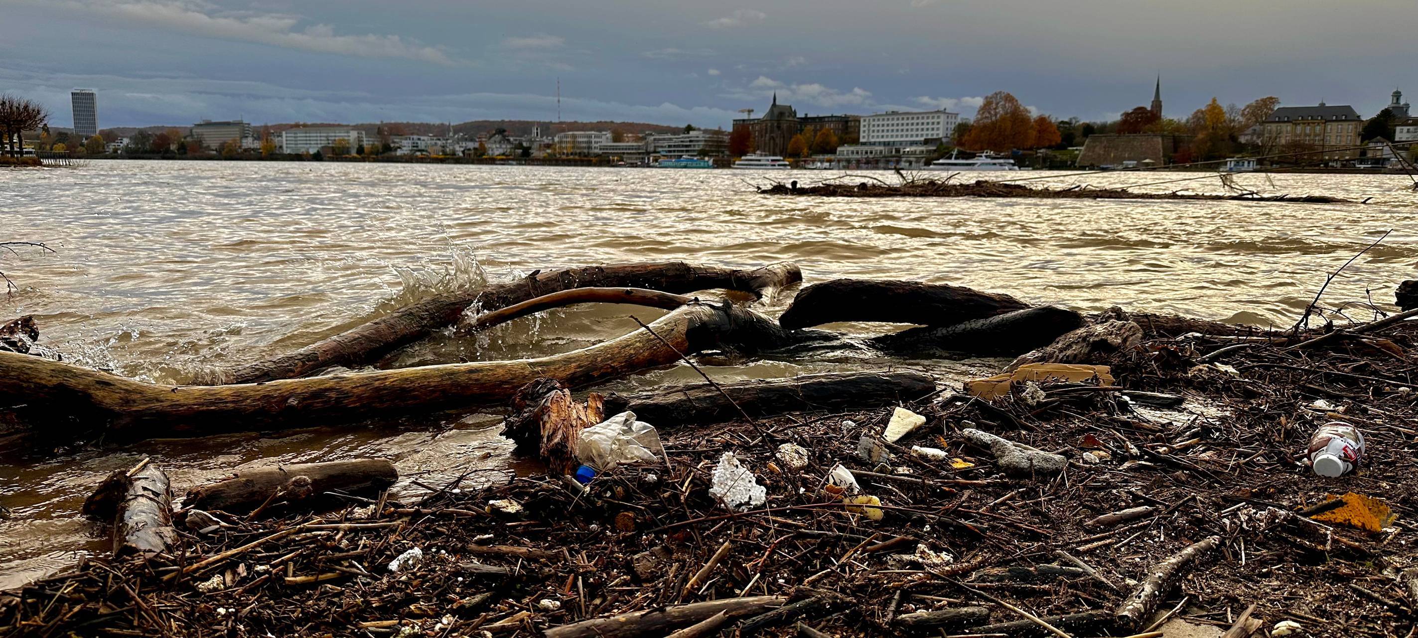 Hochwasser: Rheinpegel steigt