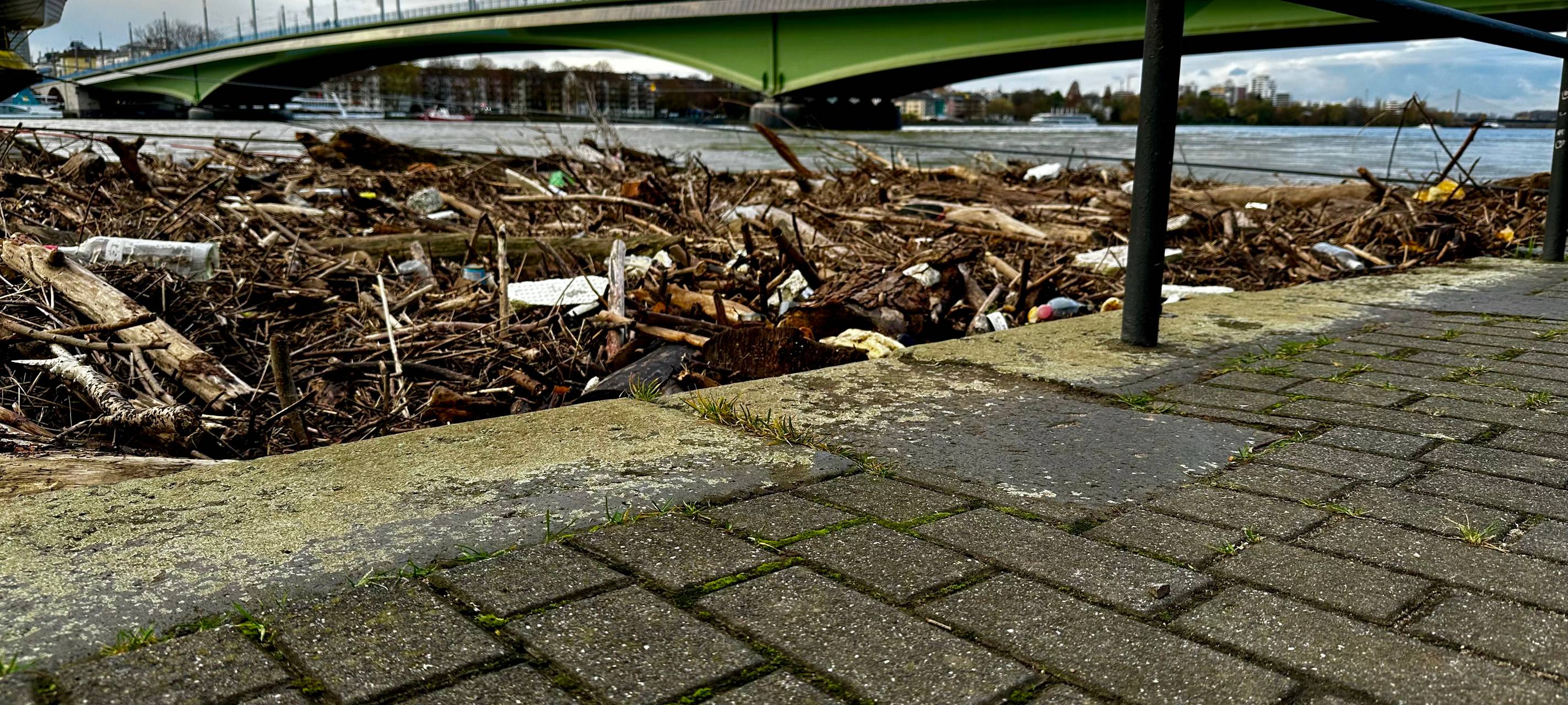 Rheinhochwasser steigt wieder deutlich an