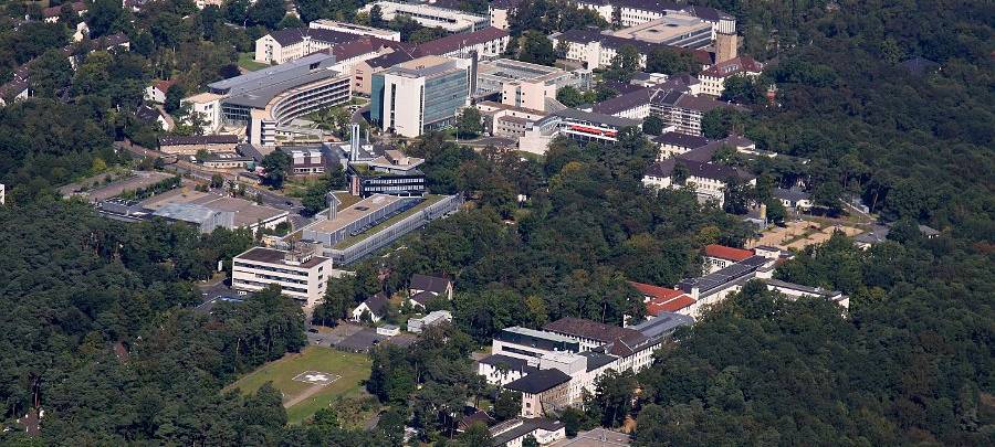 Künstliche Intelligenz soll am Bonner Uniklinikum Hinblutungen finden