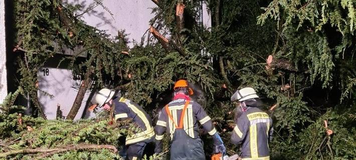 Sturmtief: Feuerwehren in Bonn und im Rhein-Sieg-Kreis im Dauereinsatz