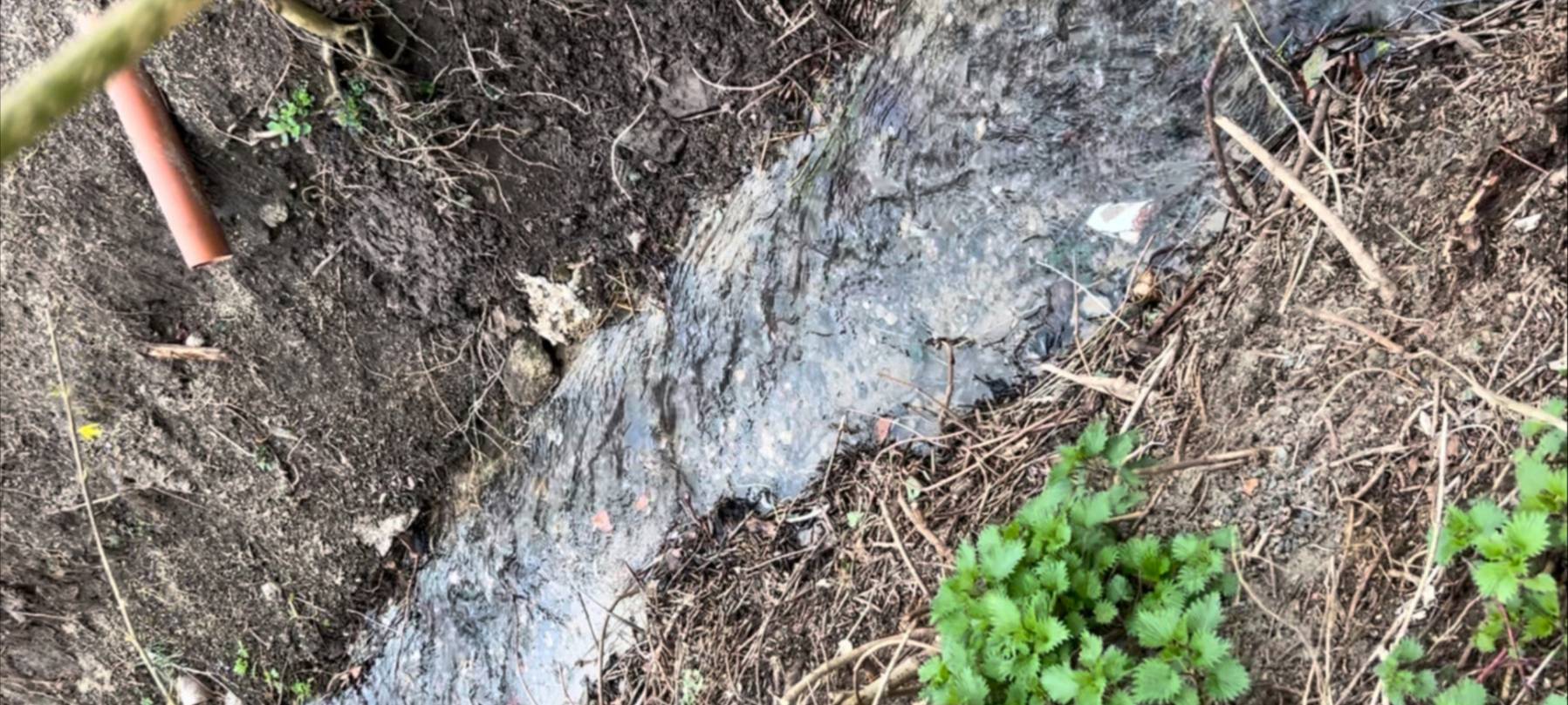 Unmut über den Hochwasserschutz in Bornheim-Brenig