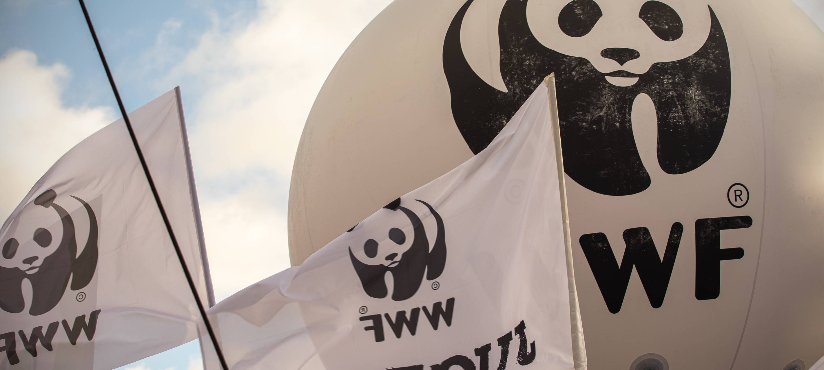 "Earth Hour" Lampen aus in Bonn und im Rhein-Sieg-Kreis