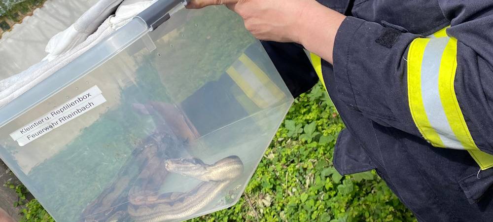 Wem gehört die Schlange? PETA bietet 500 Euro Belohnung