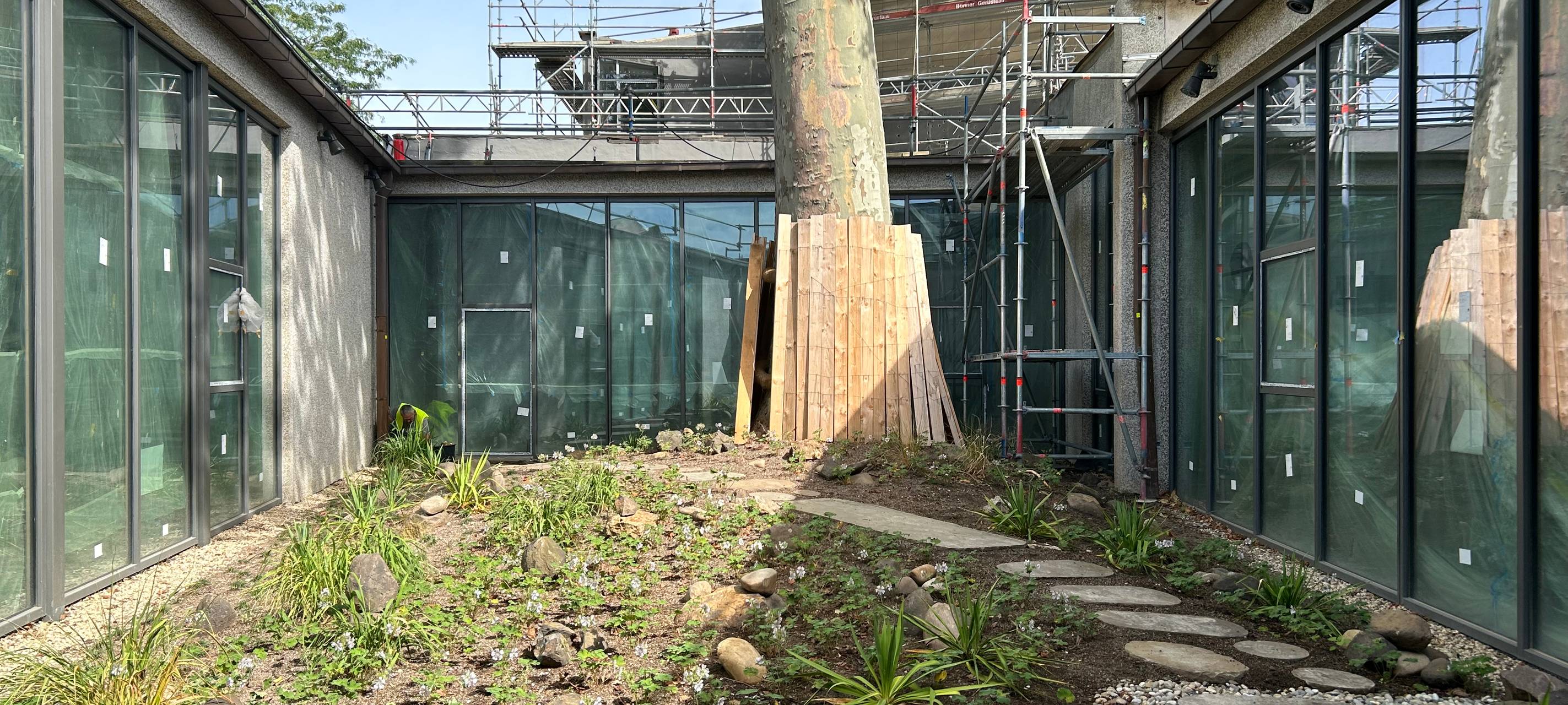 Fördergelder für denkmalgeschützten Garten der Bonner Beethovenhalle