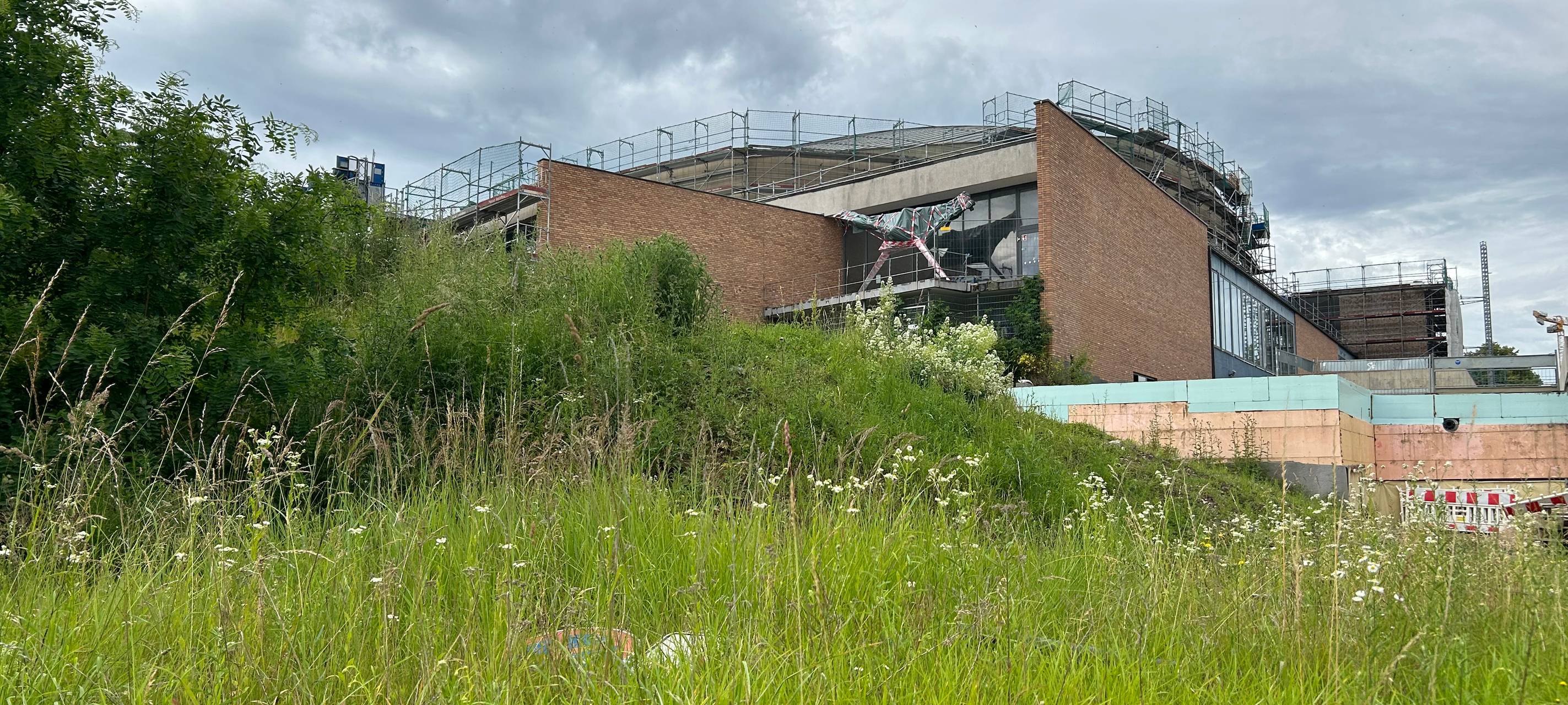 Beethovenhalle Bonn: Der Zeitplan steht weiter - mit Galerie