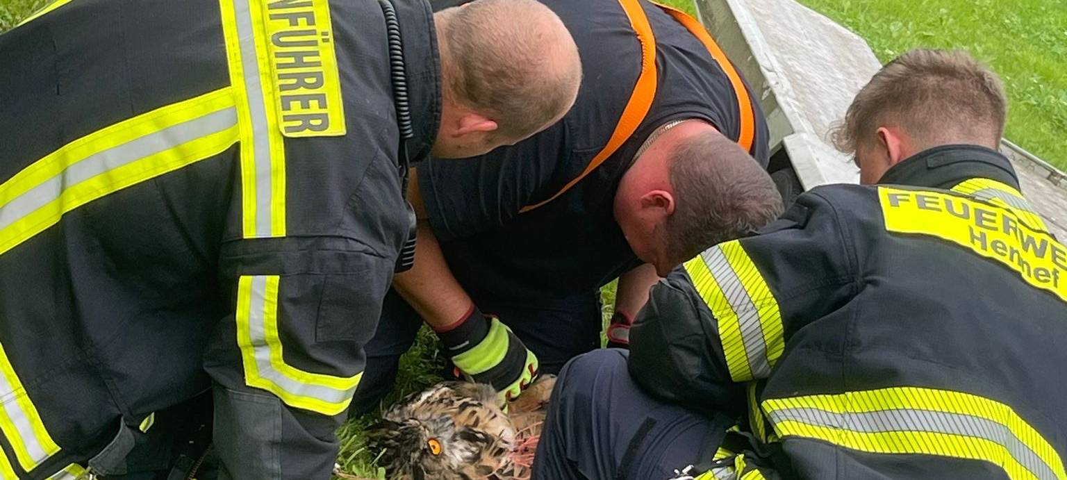 Freiwillige Feuerwehr Hennef rettet Uhu