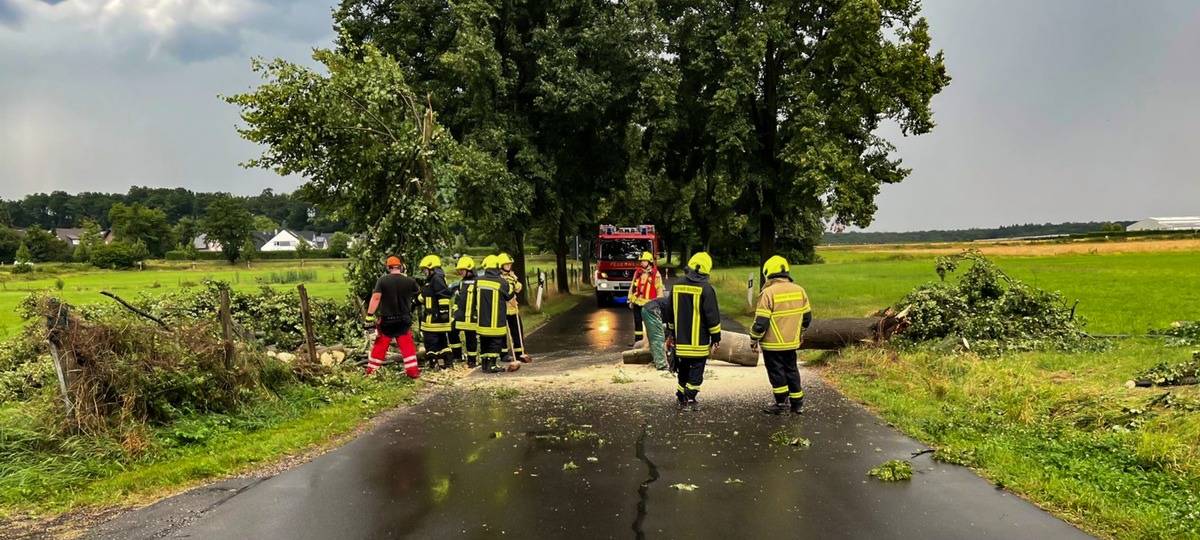Bonn und Rhein-Sieg-Kreis: Sturmbedingte Feuerwehreinsätze fast überall