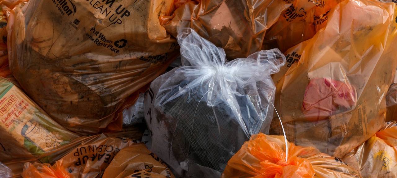 Meckenheim: Clean Up Day