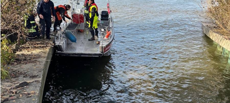 Bonn-Beuel: Feuerwehr rettet Hündin "Motte" aus Rhein