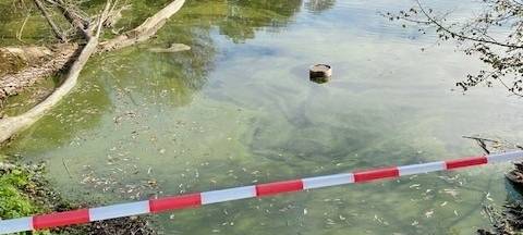 Ein See abgesperrt mit Absperrband weil sich Blaualgen im Wasser befinden