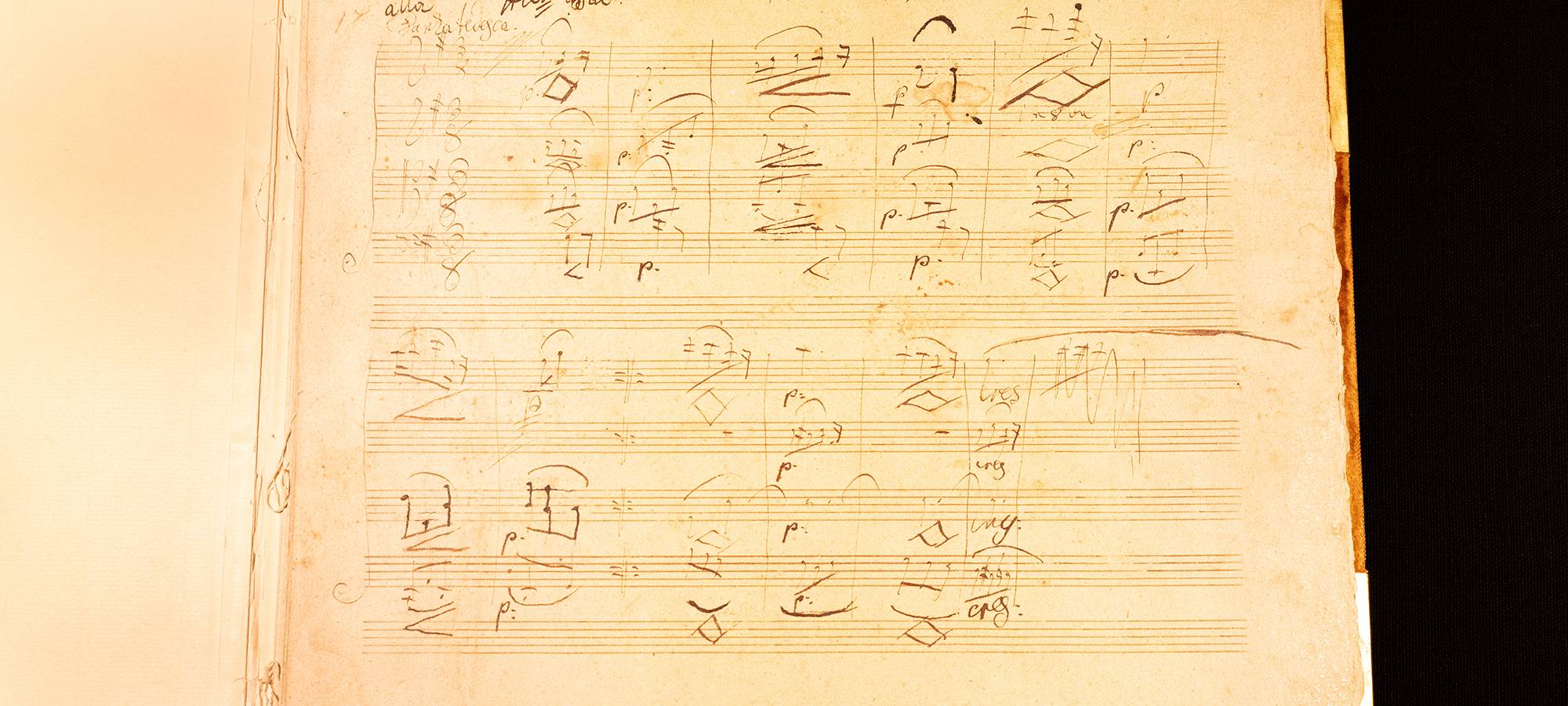 Das Beethoven-Haus in Bonn bekommt ein originales Manuskript