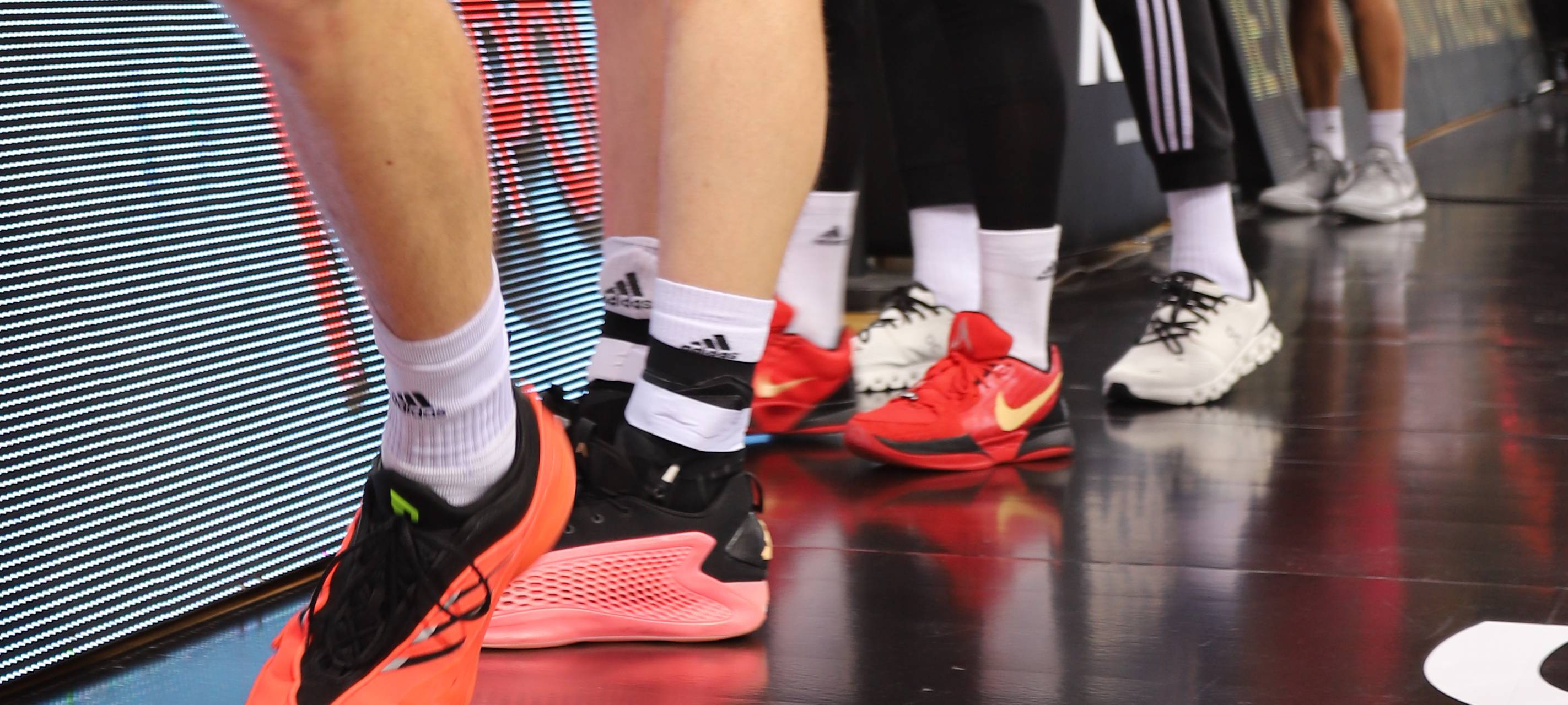 BL-Halbfinale: Telekom Baskets Bonn spielen in München