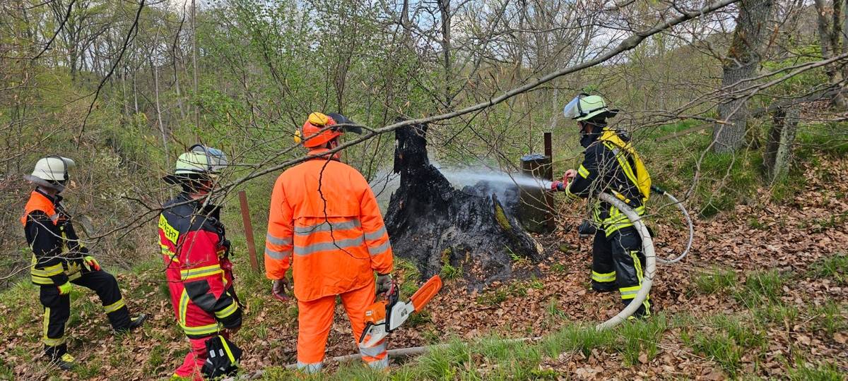 Knapp am Waldbrand vorbeigeschrammt: Einsatz in Königswinter