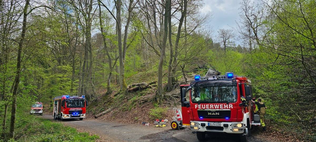 Knapp am Waldbrand vorbeigeschrammt: Einsatz in Königswinter