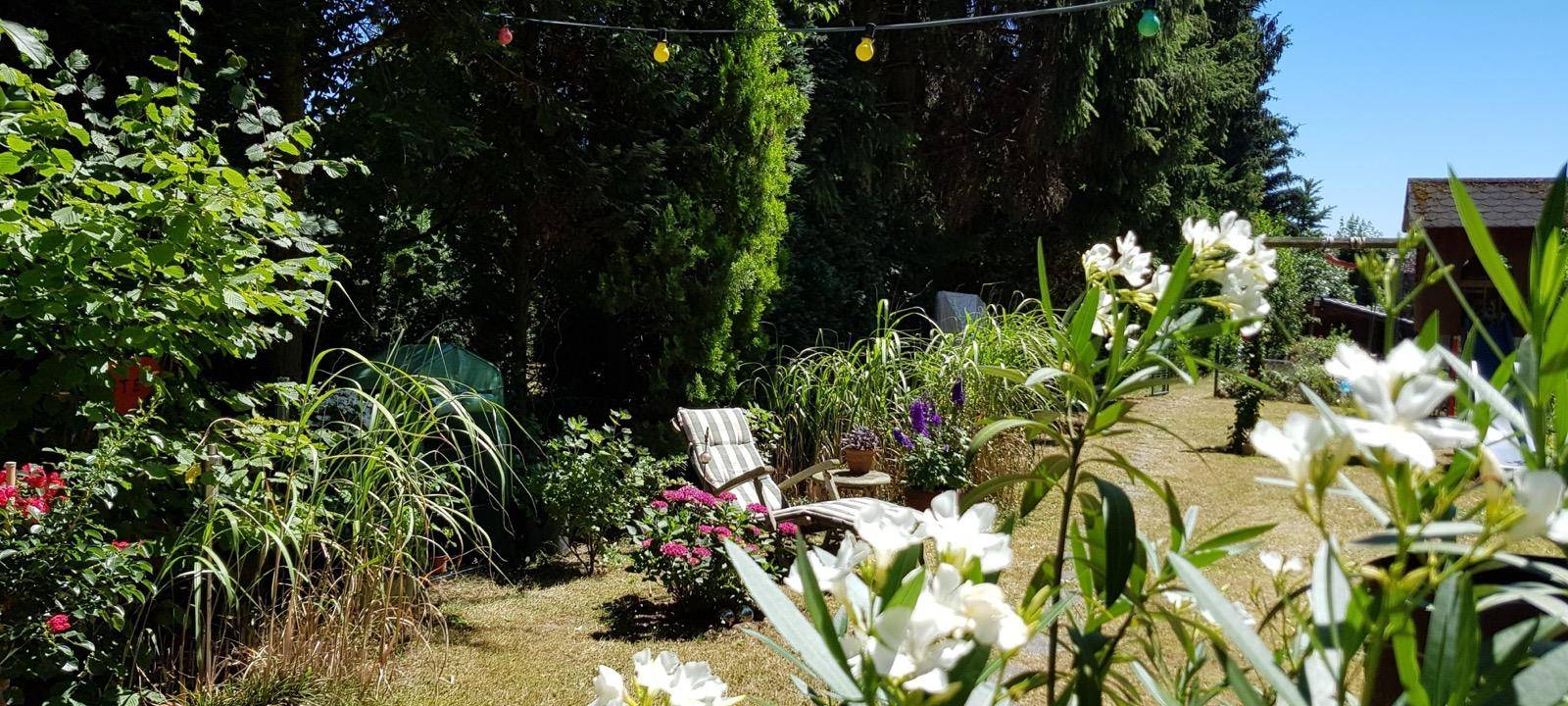 Wir suchen den geilsten Garten!