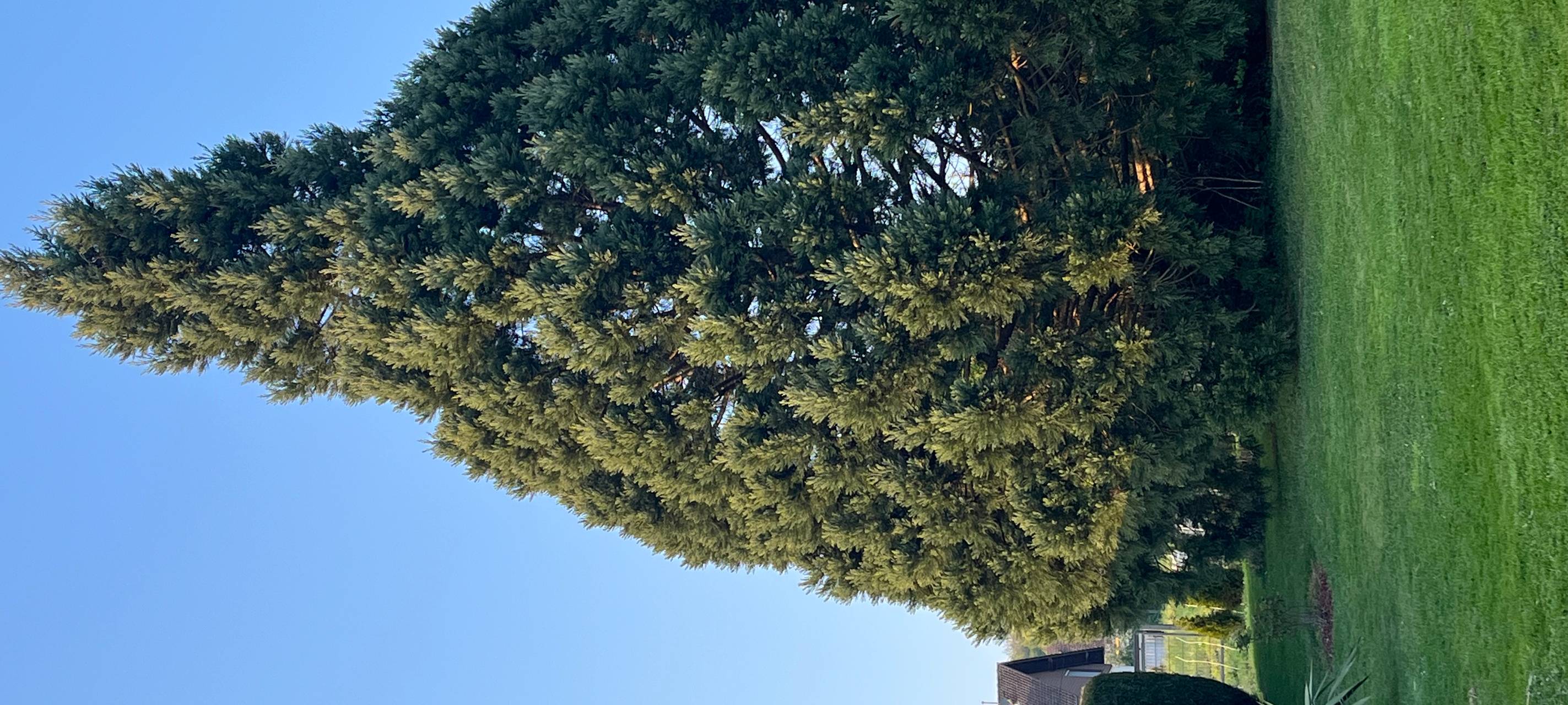 Wir suchen den geilsten Garten!