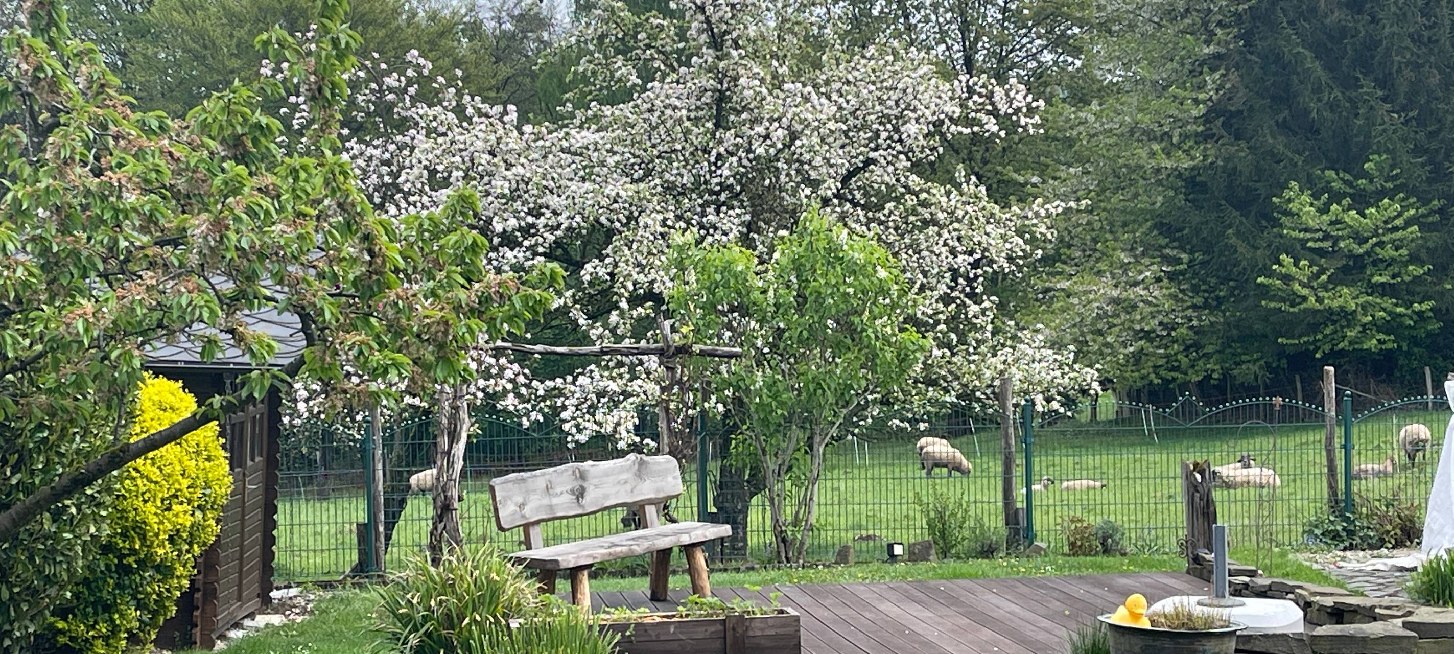 Wir suchen den geilsten Garten!