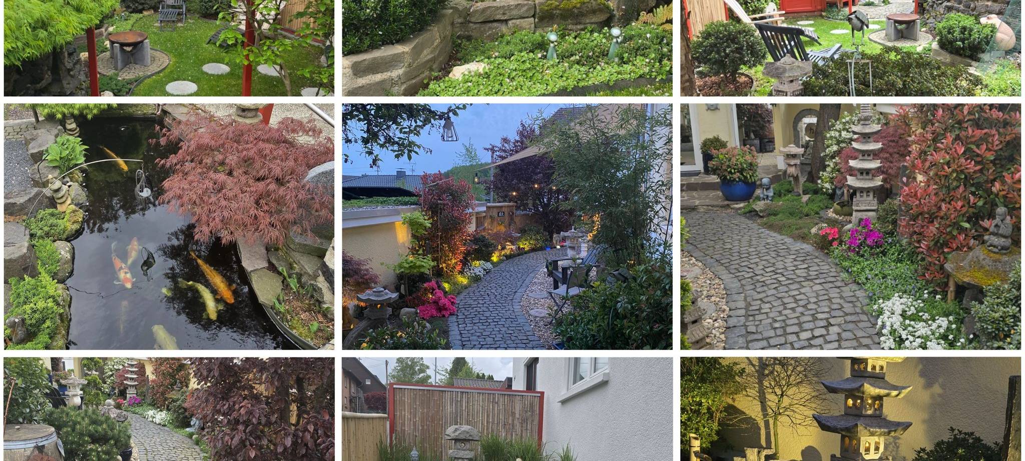 Wir suchen den geilsten Garten!