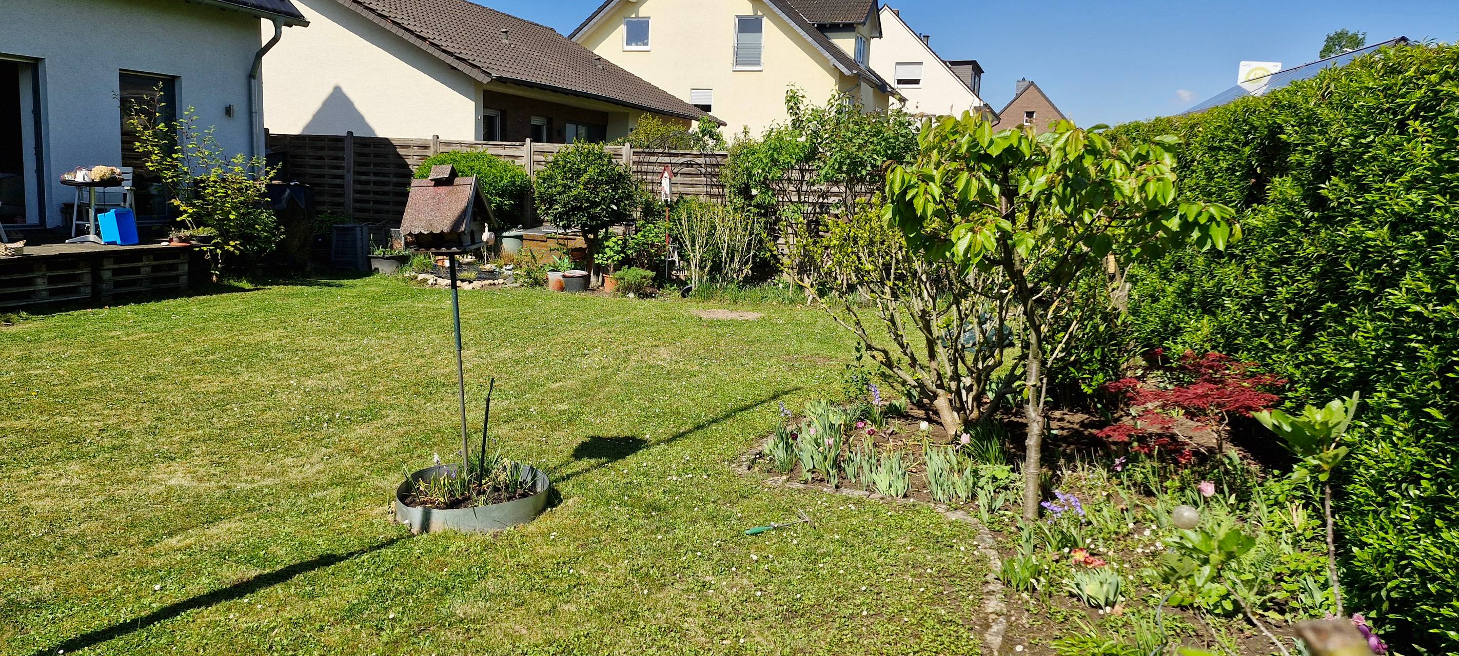 Wir suchen den geilsten Garten!
