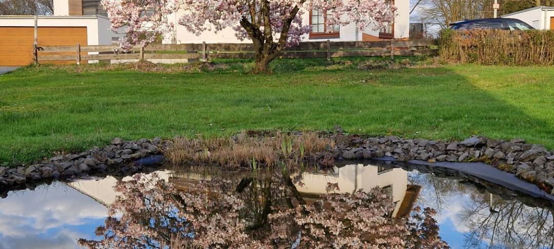 Wir suchen den geilsten Garten!
