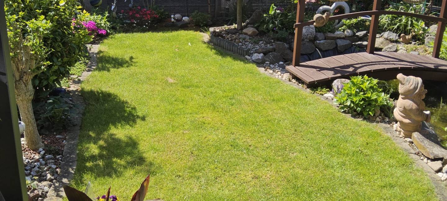 Wir suchen den geilsten Garten!