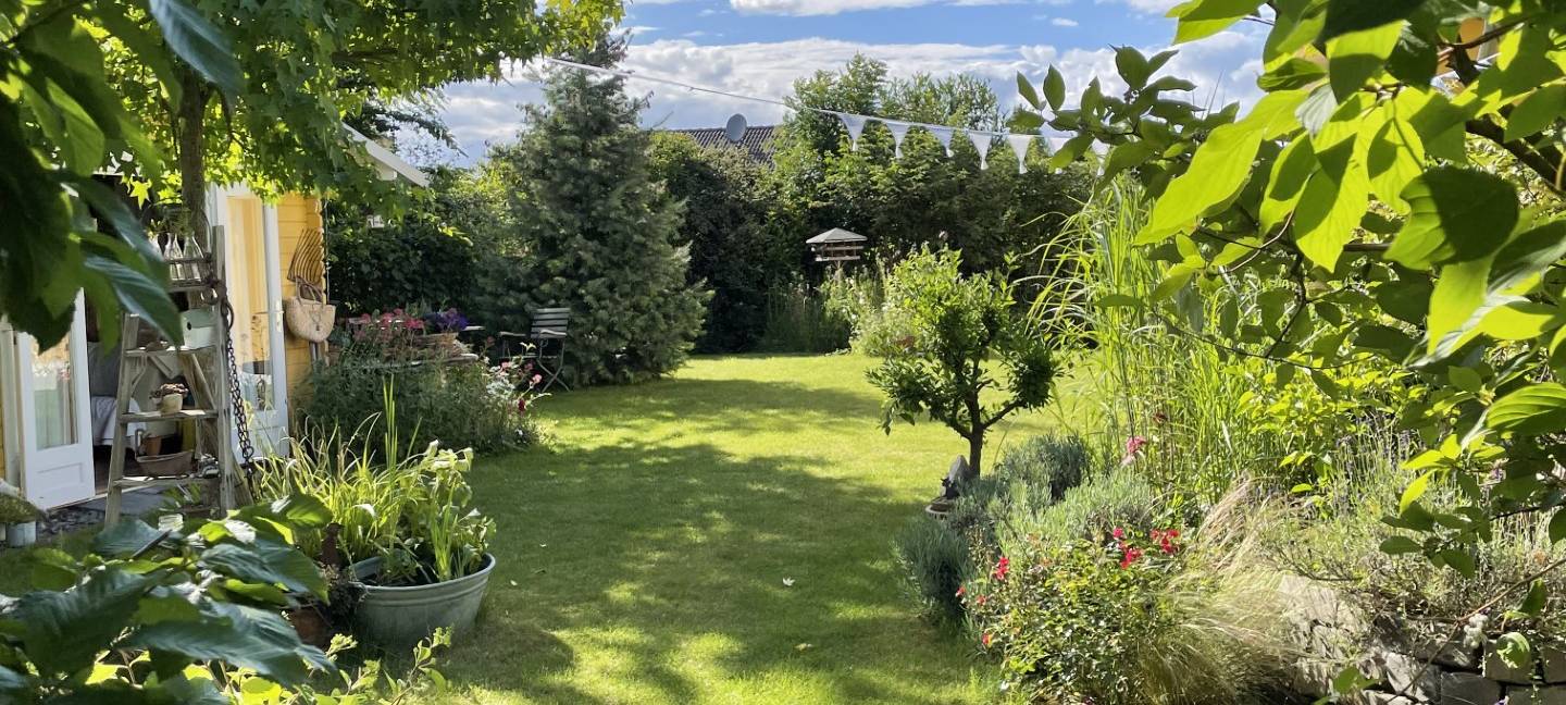 Wir suchen den geilsten Garten!