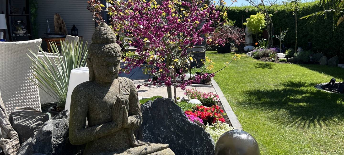 Wir suchen den geilsten Garten!