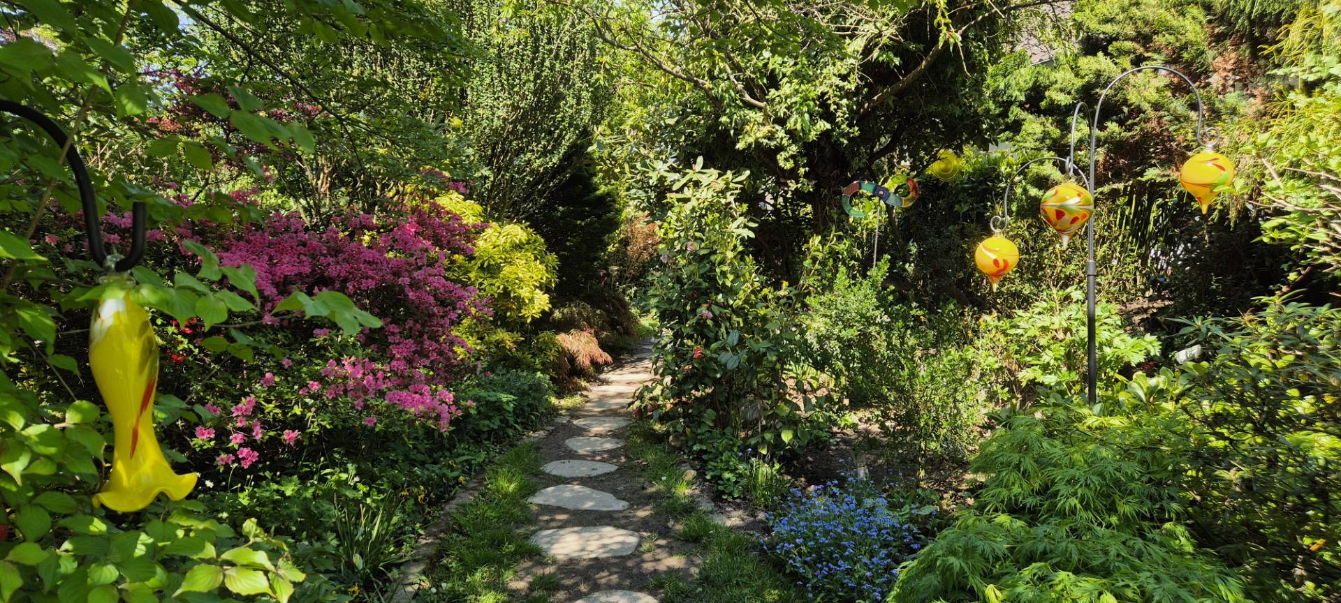 Wir suchen den geilsten Garten!