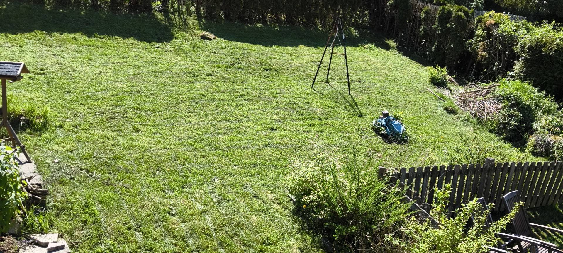 Wir suchen den geilsten Garten!