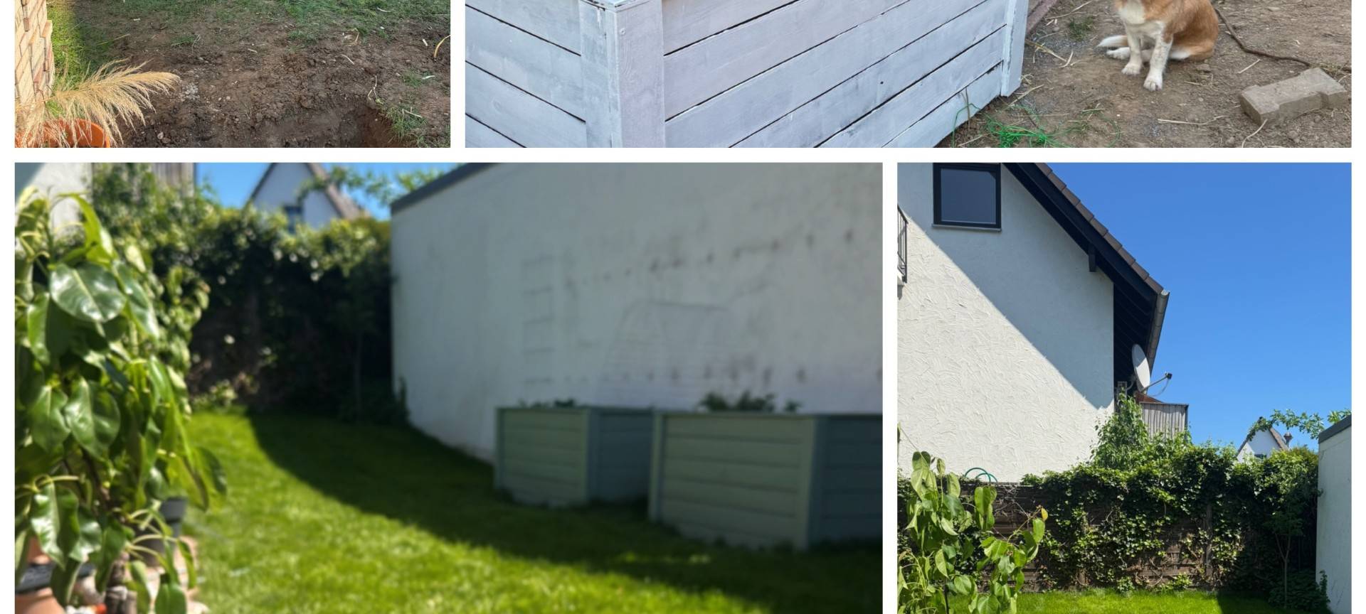 Wir suchen den geilsten Garten!