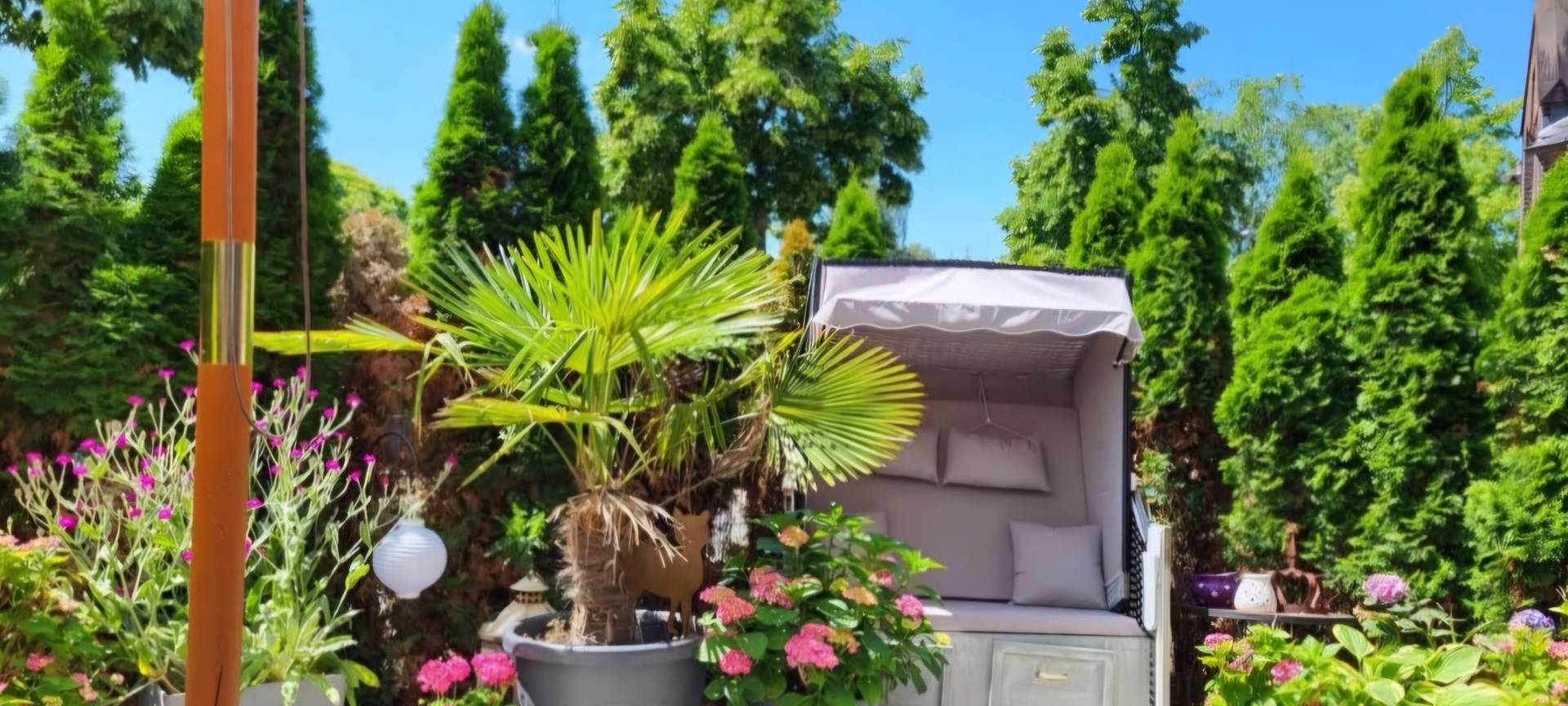 Wir suchen den geilsten Garten!
