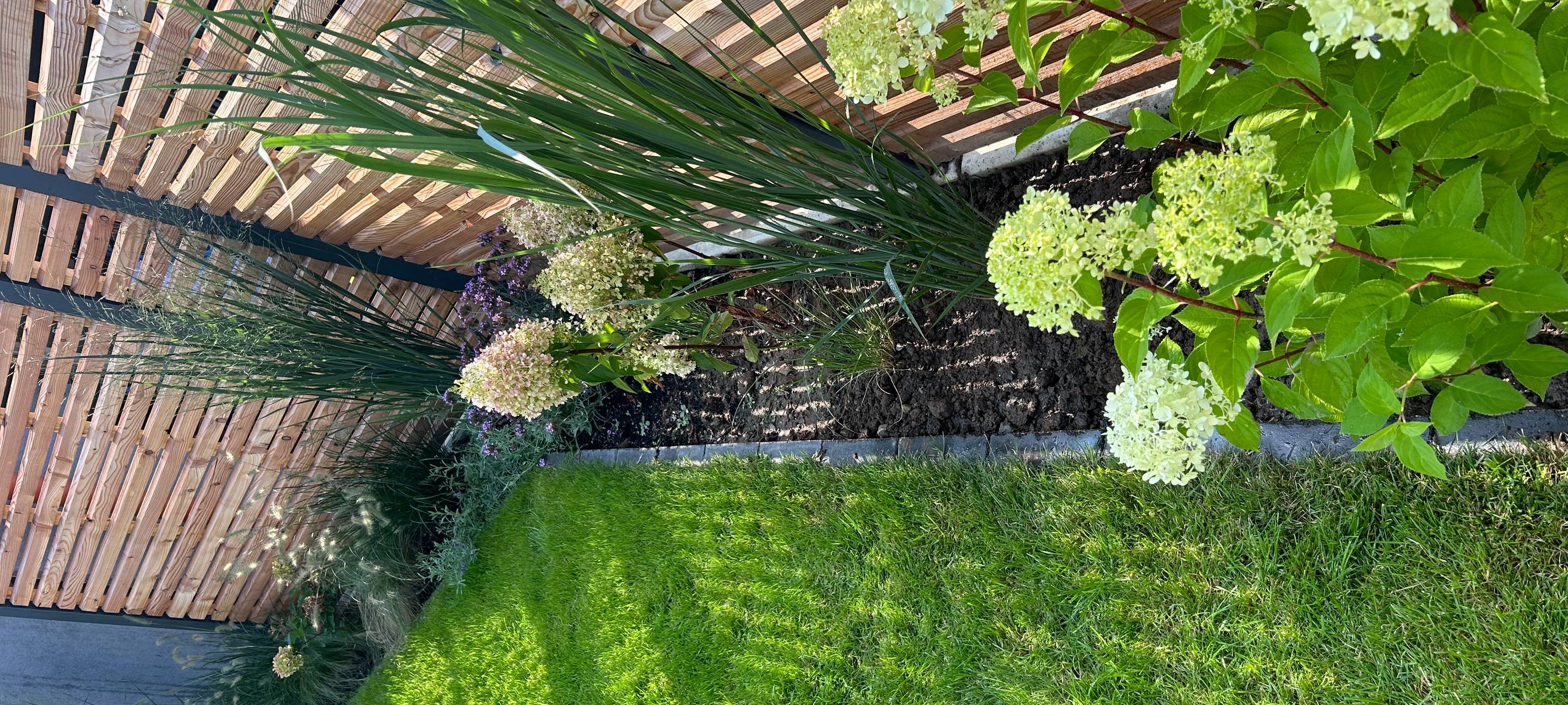 Wir suchen den geilsten Garten!