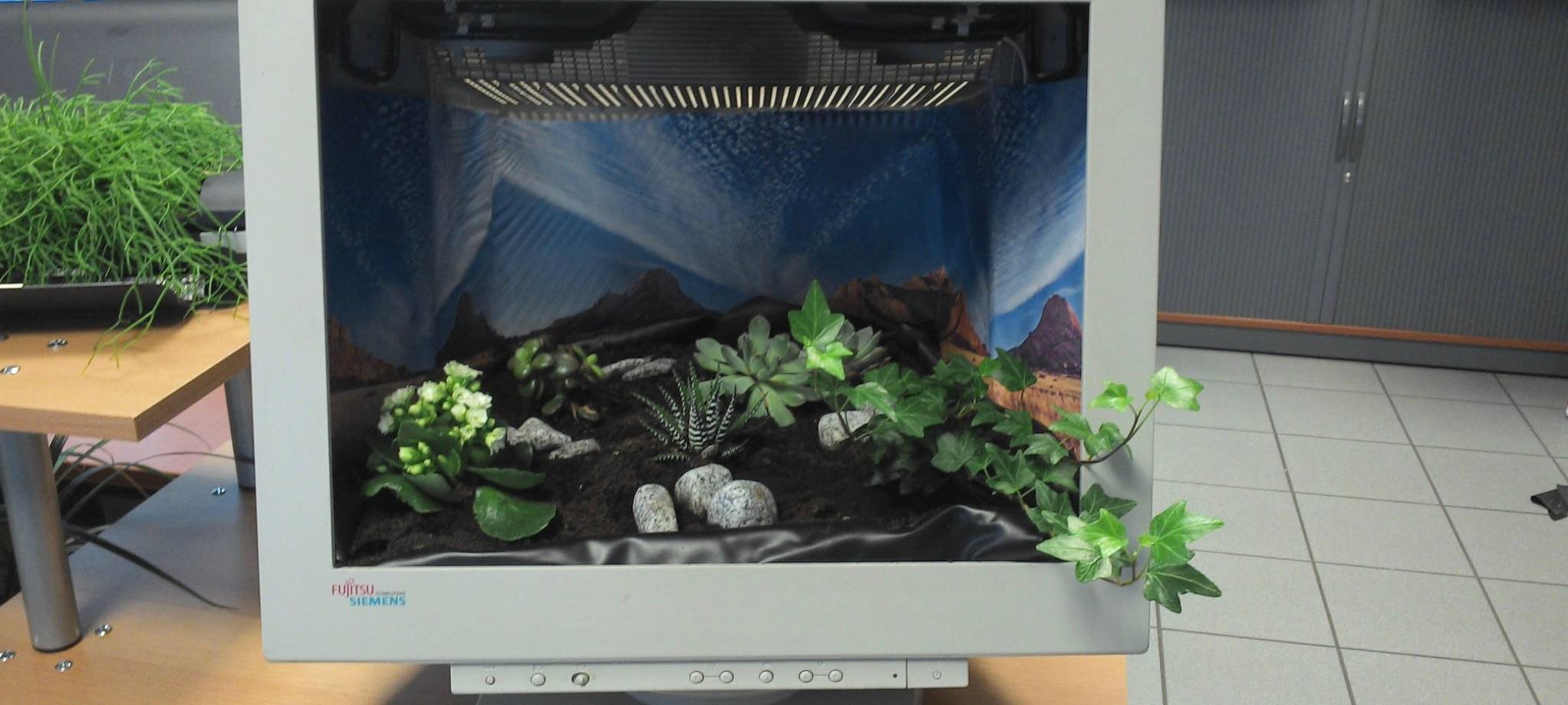 Wir suchen den geilsten Garten!