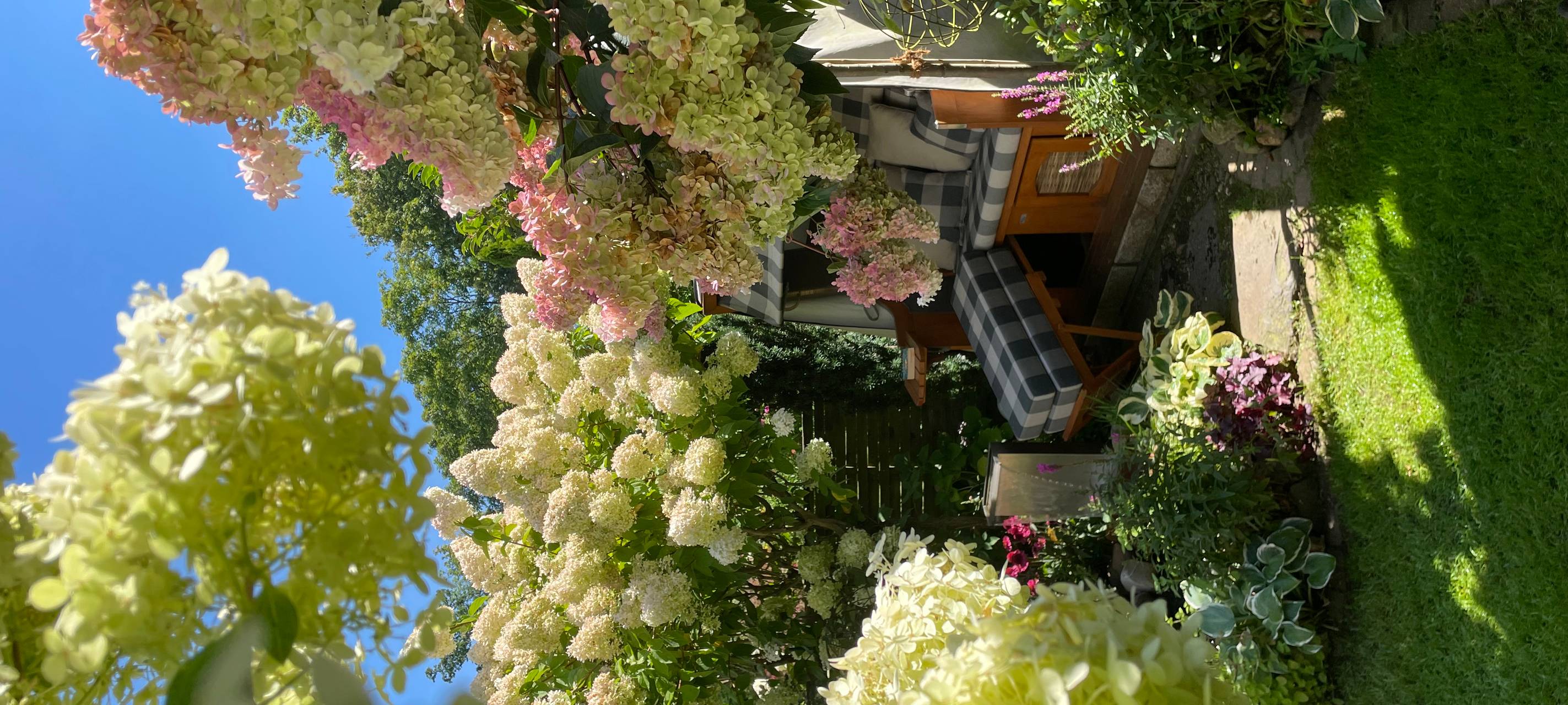 Wir suchen den geilsten Garten!