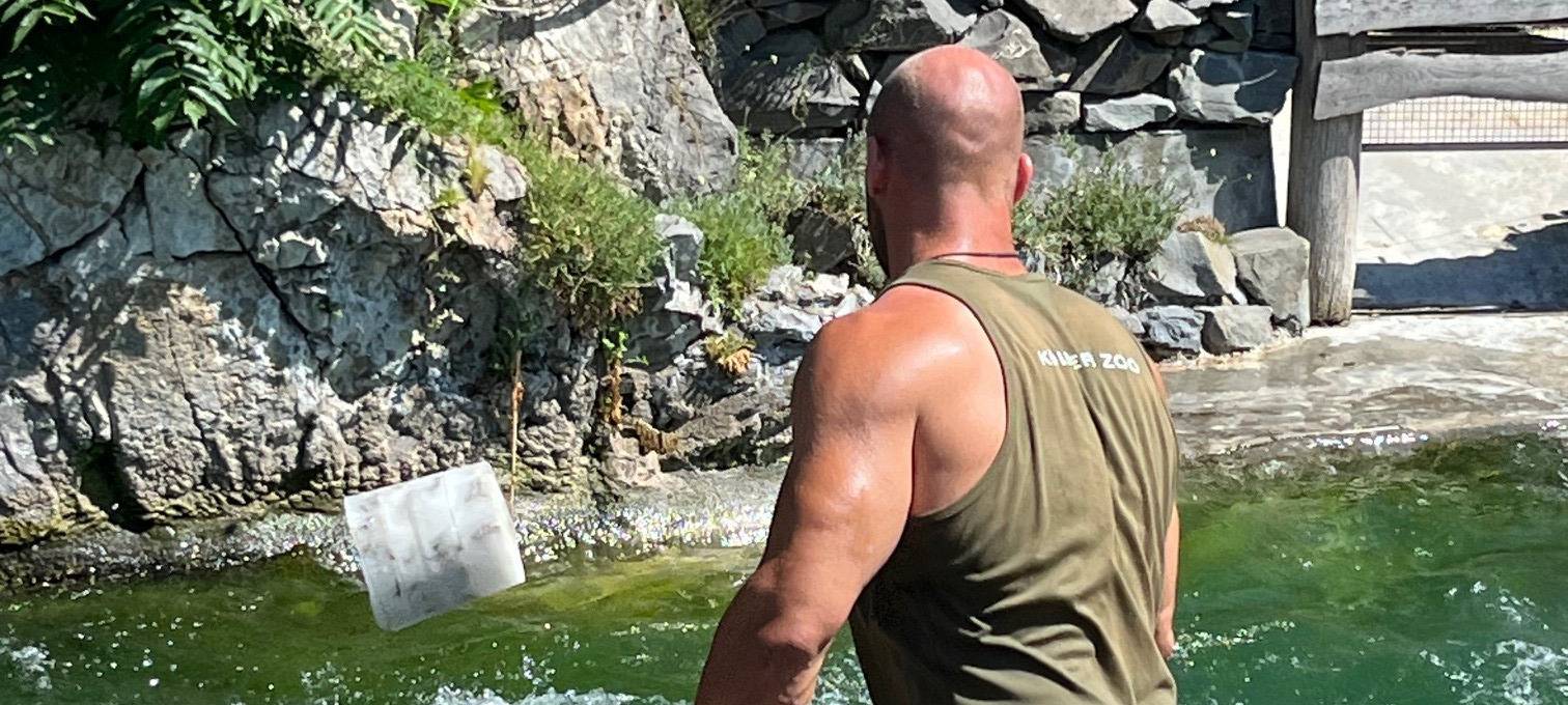 Hitze im Kölner Zoo - so kühlen sich die Tiere ab