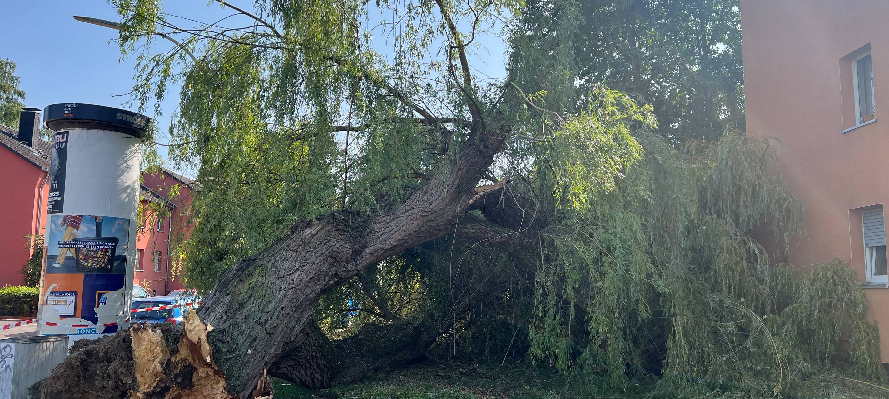 Bonn: Umkippender Baum verfehlt Mehrfamilienhaus nur knapp