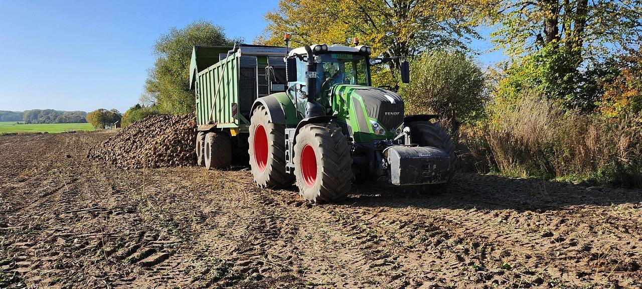 Zuckerrübentransporter unterwegs!