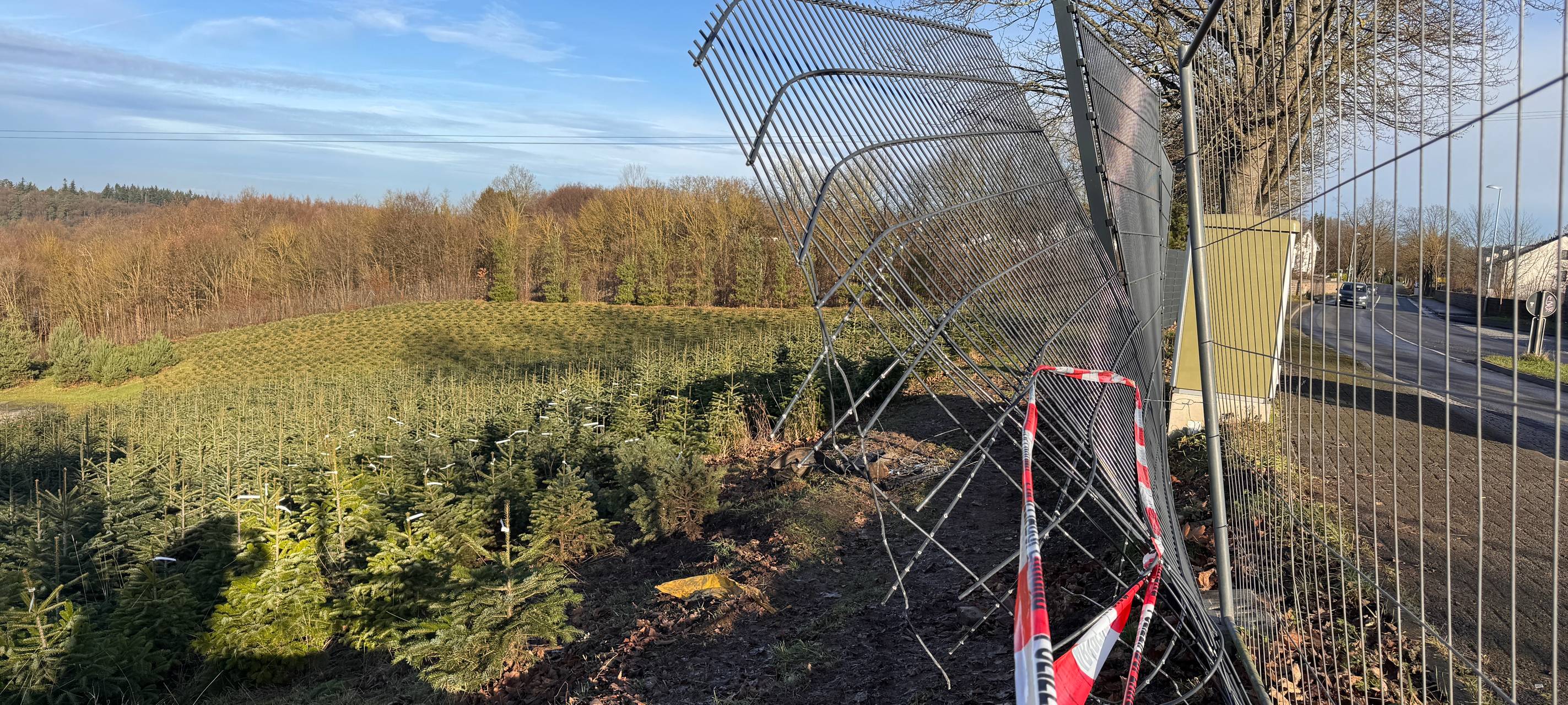 Nach Verfolgungsjagd: Große Schäden an Bad Honnefer Weihnachtsbaumhof