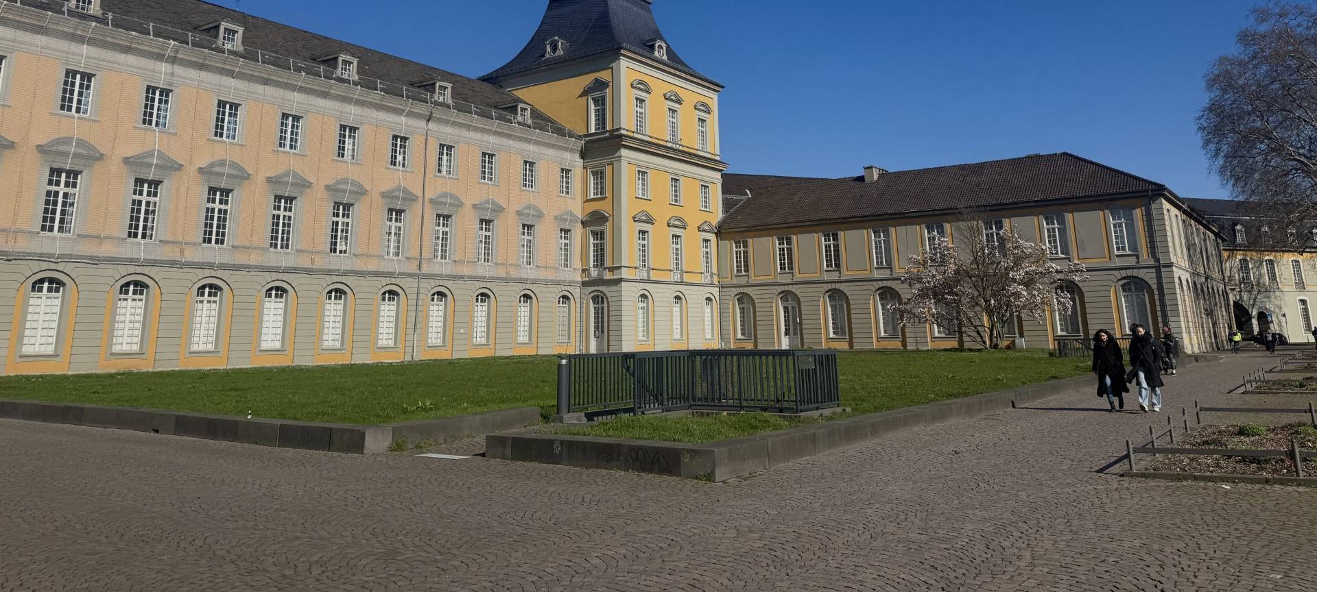 Uni Bonn feiert Tag der Artenvielfalt