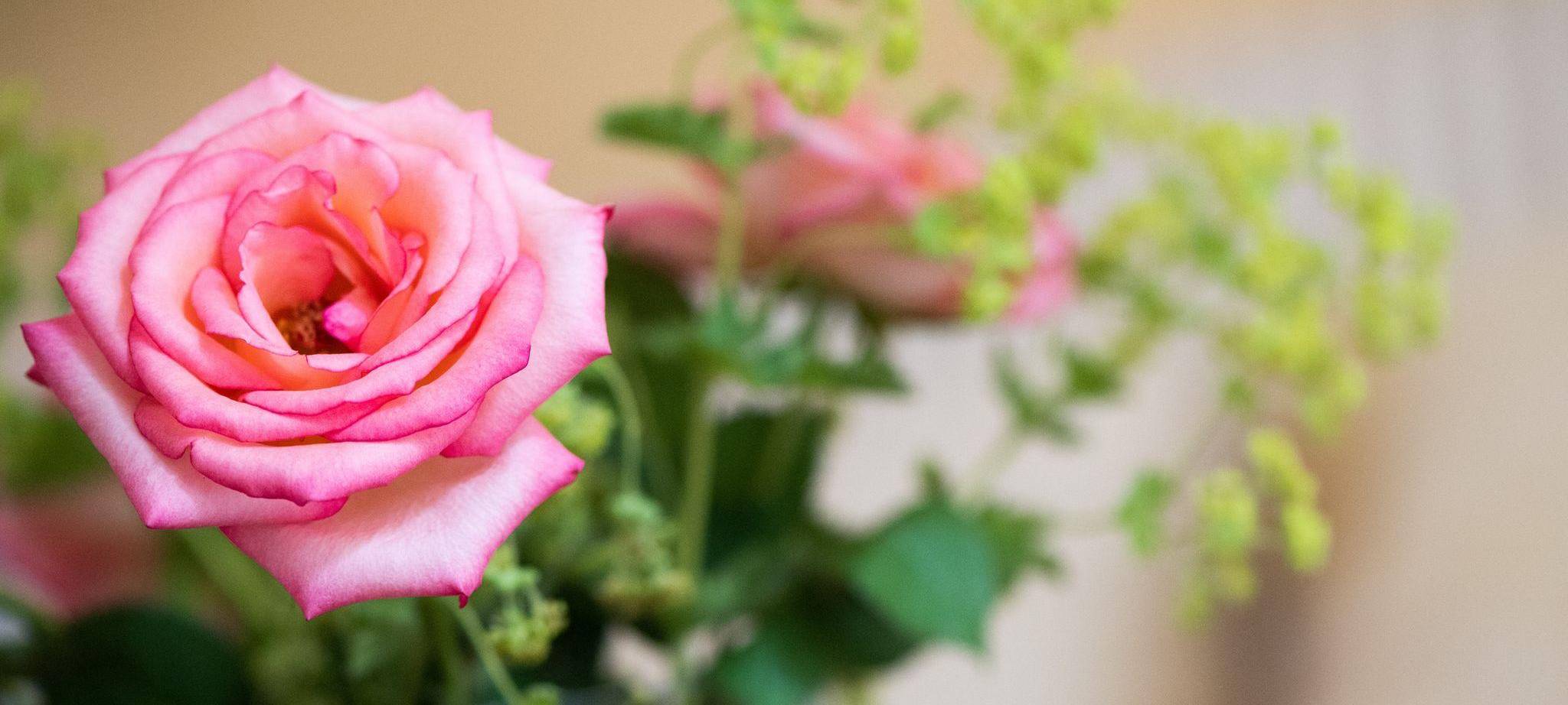Blumenstrauß aus Rosen und Frauenmantel steht auf einem Tisch