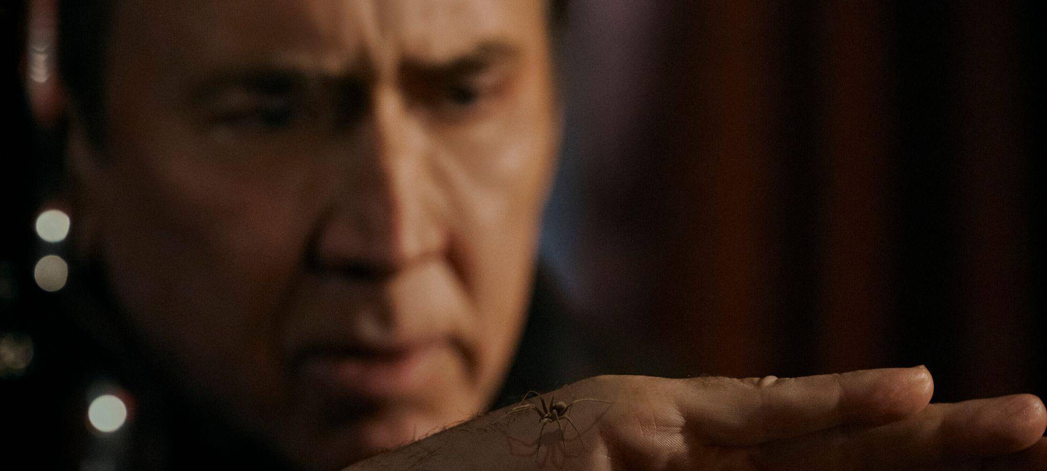Serie "Spider-Noir" mit Nicolas Cage