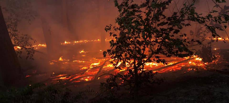 Euskirchen: Rheinbacher Feuerwehr hilft gegen Waldbrand