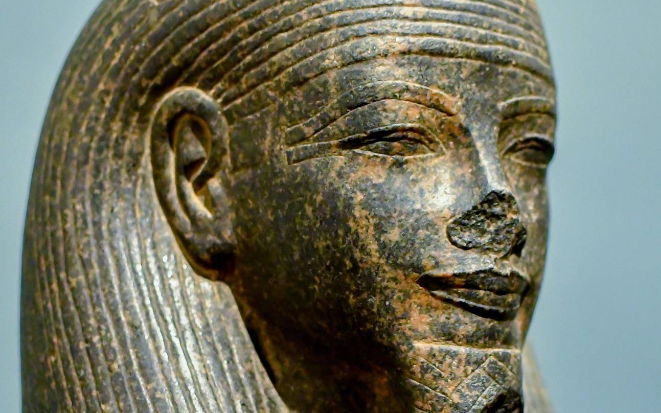 Freier Eintritt ins Bonner Kunstmuseum