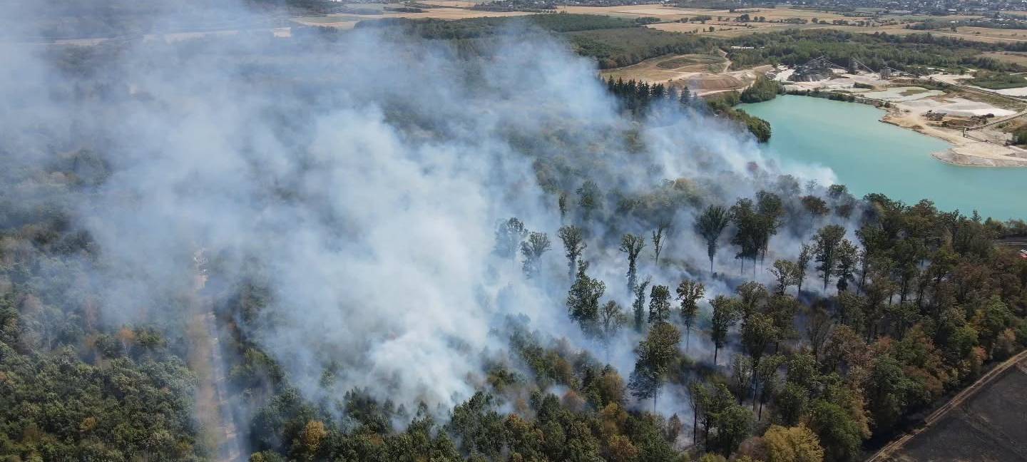 Flächenbrand zwischen Swisttal und Rheinbach - Großeinsatz