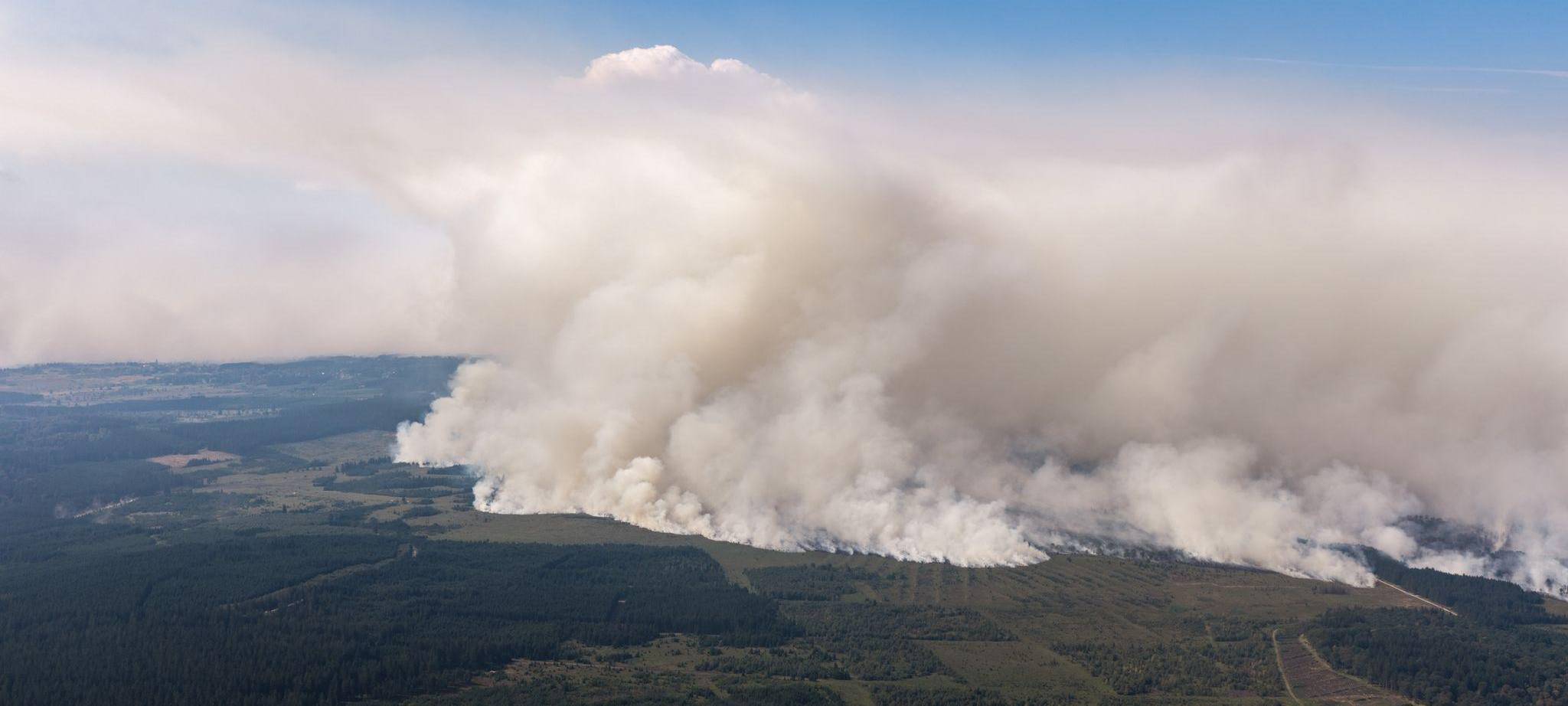 Waldbrand in Belgien