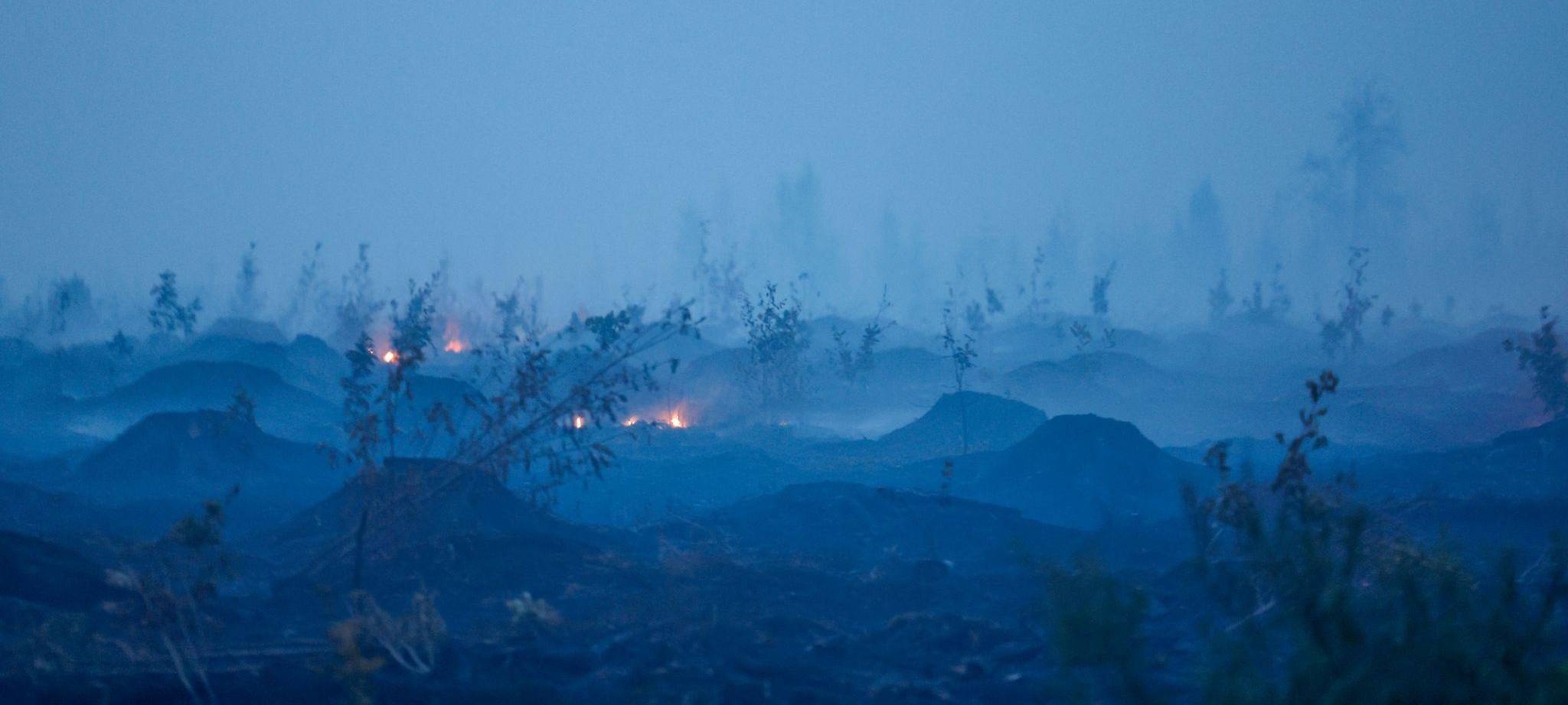 Waldbrand in Belgien