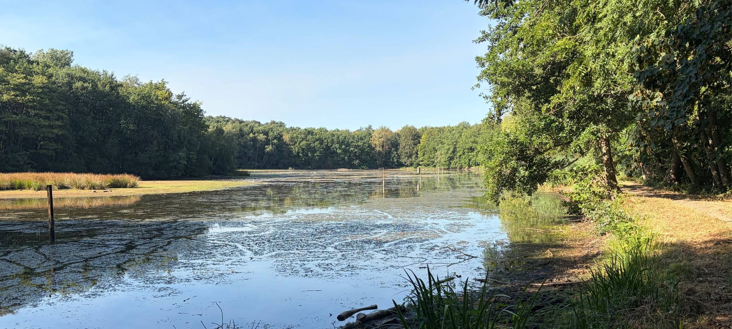 Viel Geld für ein Naturprojekt im Rhein-Sieg-Kreis